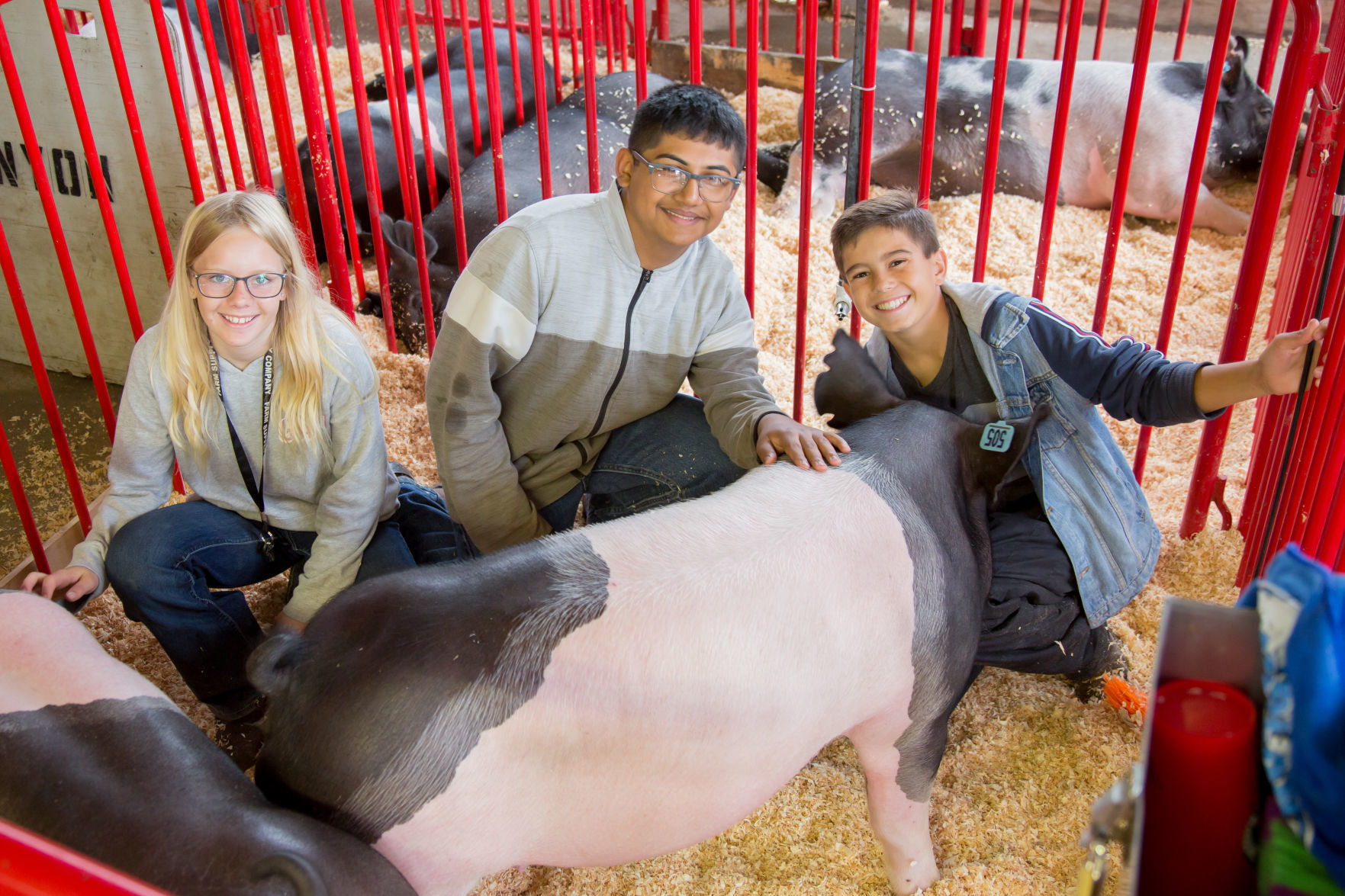 070919 SB Fair Animal Judging 10.jpg